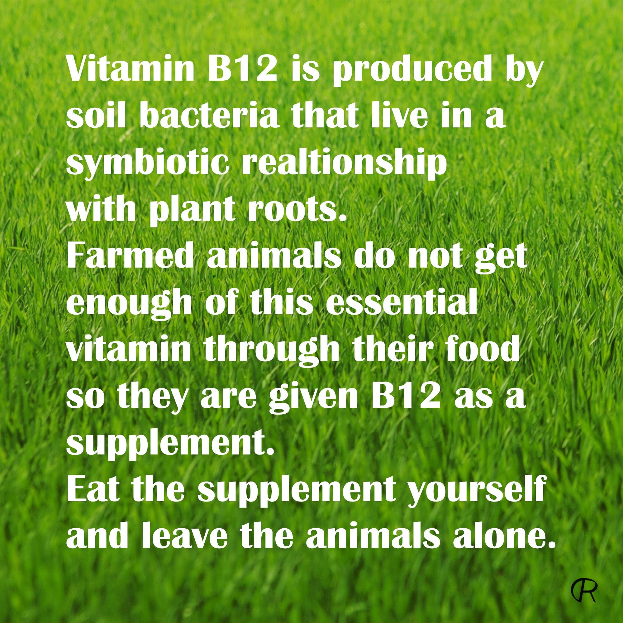 SavetheAnimals