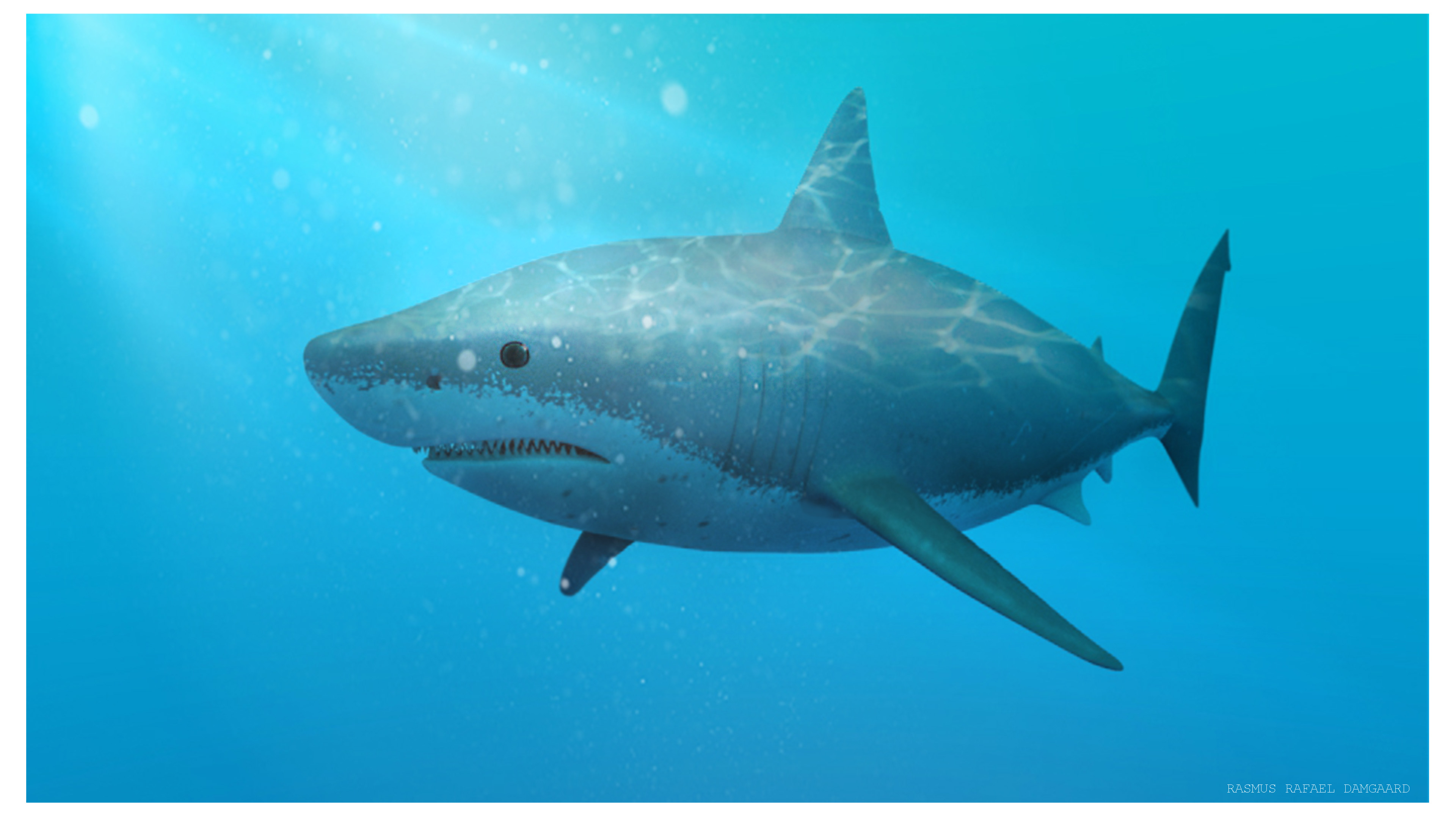Great White