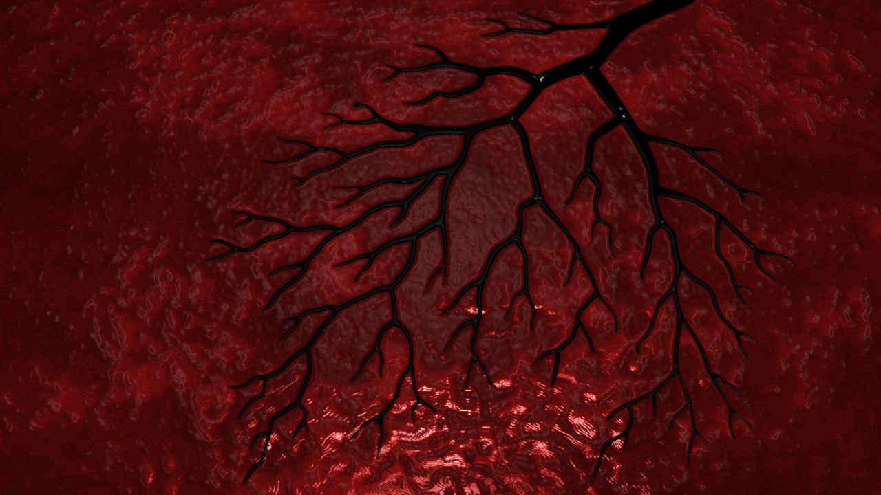 Veins